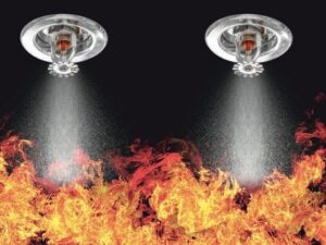 WhatsApp Image 2022-09-30 at 10.01.46